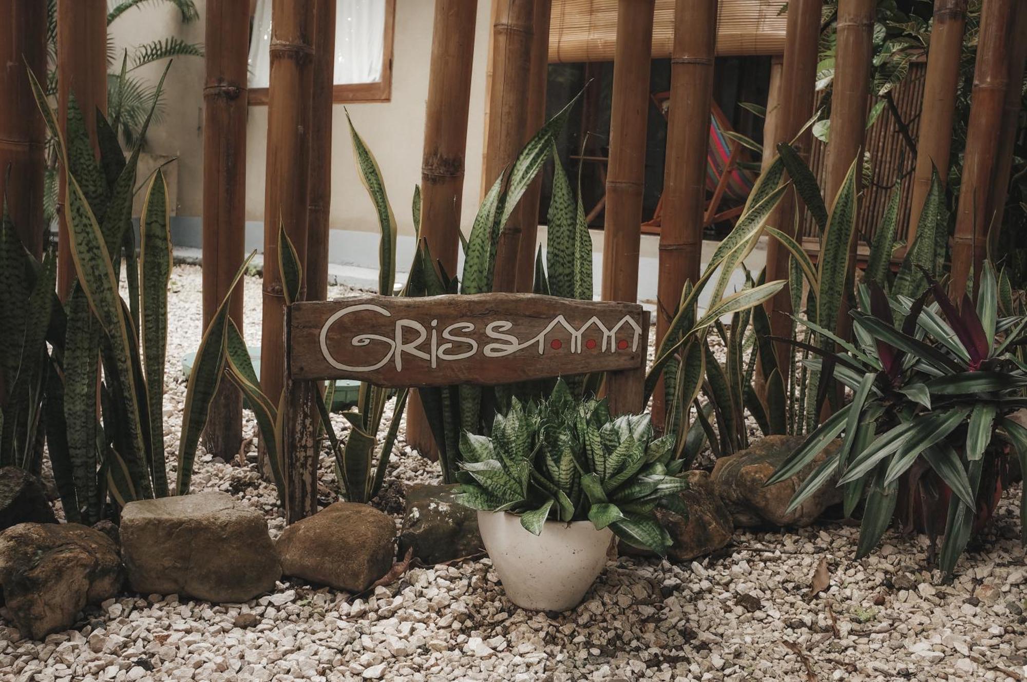 Griss Lodge & Spa Playa Santa Teresa  Экстерьер фото