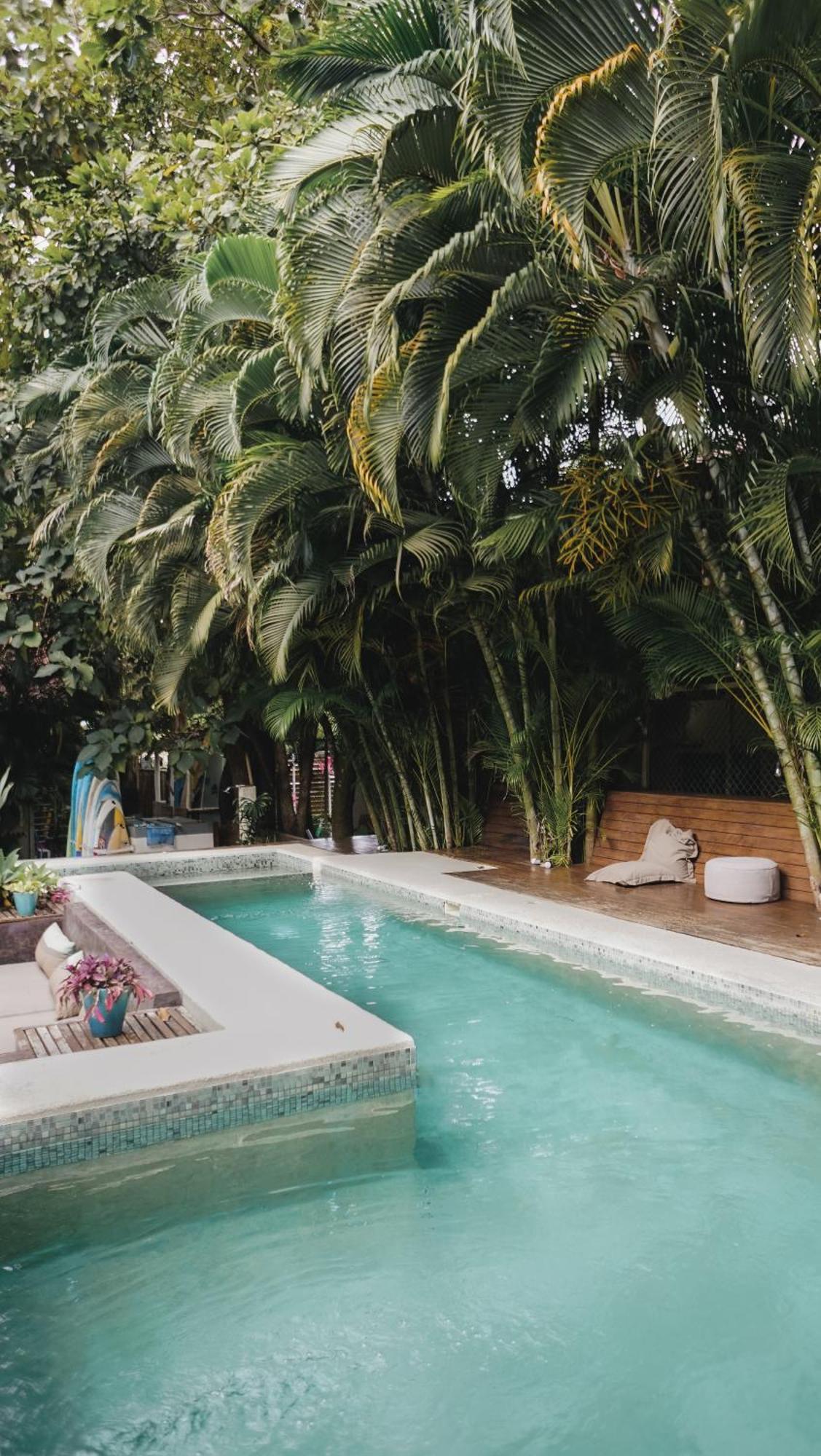 Griss Lodge & Spa Playa Santa Teresa  Экстерьер фото